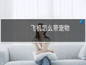 飞机怎么带宠物