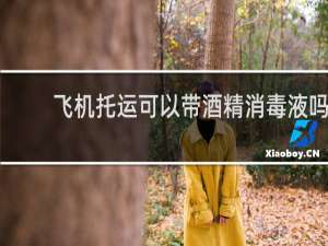飞机托运可以带酒精消毒液吗