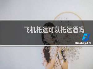 飞机托运可以托运酒吗