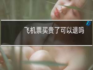 飞机票买贵了可以退吗