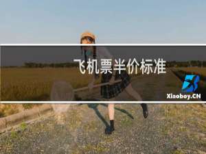 飞机票半价标准