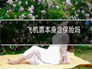 飞机票本身含保险吗