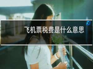 飞机票税费是什么意思