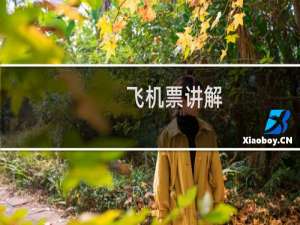 飞机票讲解