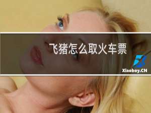 飞猪怎么取火车票