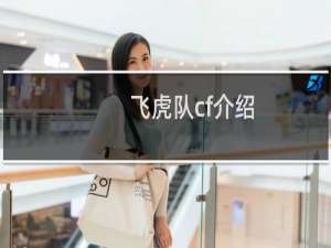 飞虎队cf介绍