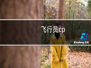飞行员cp cf什么意思