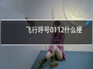 飞行呼号0112什么梗