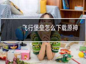 飞行堡垒怎么下载原神