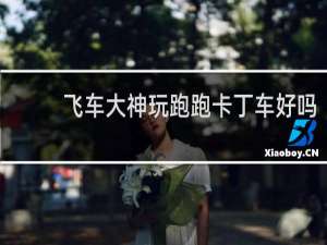 飞车大神玩跑跑卡丁车好吗