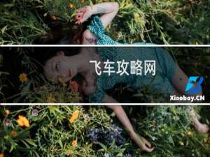 飞车攻略网