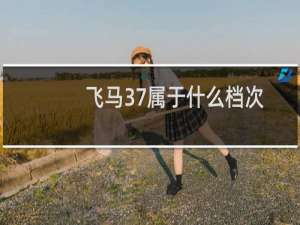 飞马37属于什么档次