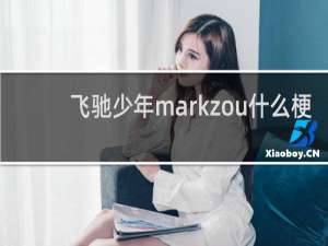 飞驰少年markzou什么梗