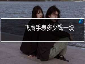 飞鹰手表多少钱一块