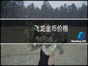 飞龙金币价格