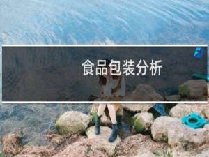 食品包装分析
