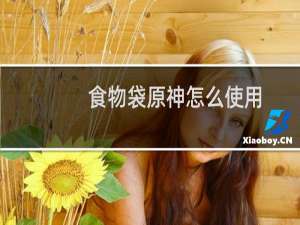 食物袋原神怎么使用