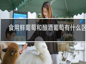 食用鲜葡萄和酿酒葡萄有什么区别