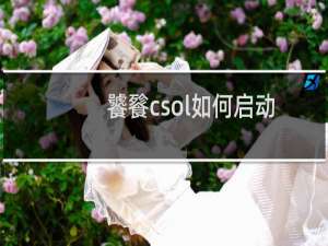 饕餮csol如何启动