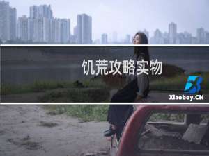 饥荒攻略实物