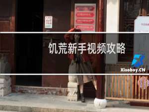 饥荒新手视频攻略