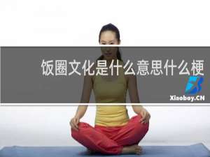 饭圈文化是什么意思什么梗