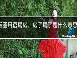 饭圈用语塌房、房子塌了是什么意思什么梗