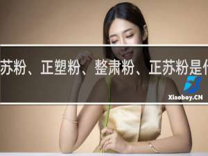 饭圈用语苏粉、正塑粉、整肃粉、正苏粉是什么意思什么梗