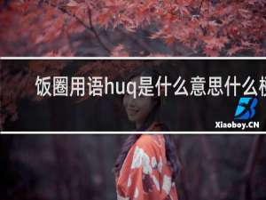 饭圈用语huq是什么意思什么梗