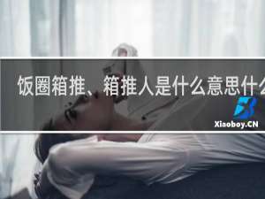 饭圈箱推、箱推人是什么意思什么梗
