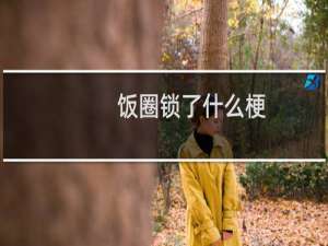 饭圈锁了什么梗