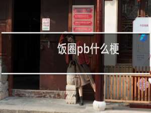 饭圈pb什么梗