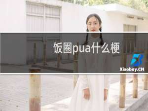 饭圈pua什么梗