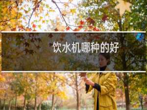 饮水机哪种的好