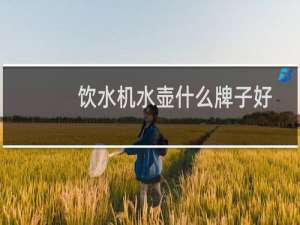 饮水机水壶什么牌子好