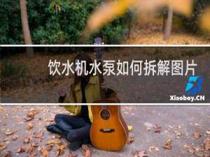 饮水机水泵如何拆解图片