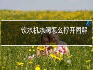 饮水机水阀怎么拧开图解