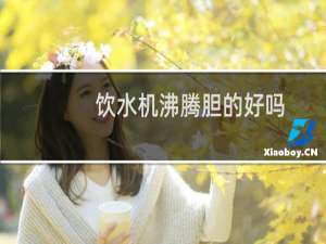 饮水机沸腾胆的好吗