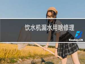 饮水机漏水用啥修理