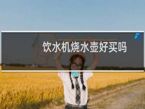 饮水机烧水壶好买吗