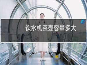 饮水机茶壶容量多大