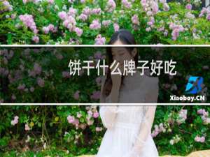 饼干什么牌子好吃