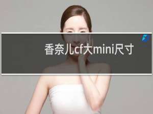 香奈儿cf大mini尺寸