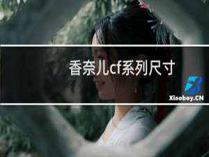香奈儿cf系列尺寸
