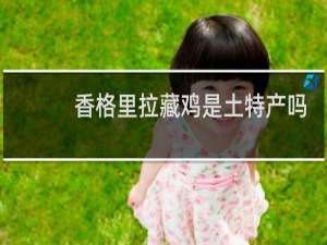 香格里拉藏鸡是土特产吗