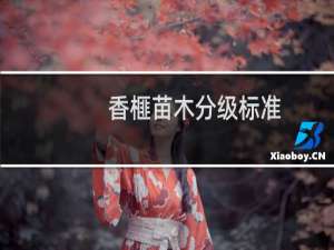 香榧苗木分级标准
