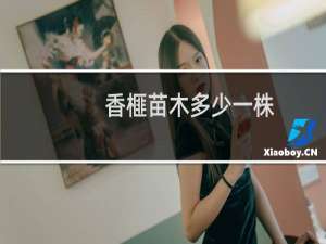 香榧苗木多少一株