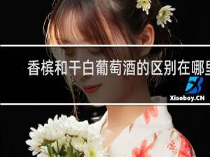 香槟和干白葡萄酒的区别在哪里