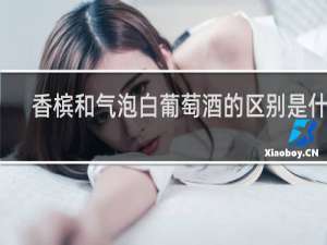 香槟和气泡白葡萄酒的区别是什么