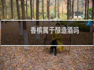 香槟属于酿造酒吗